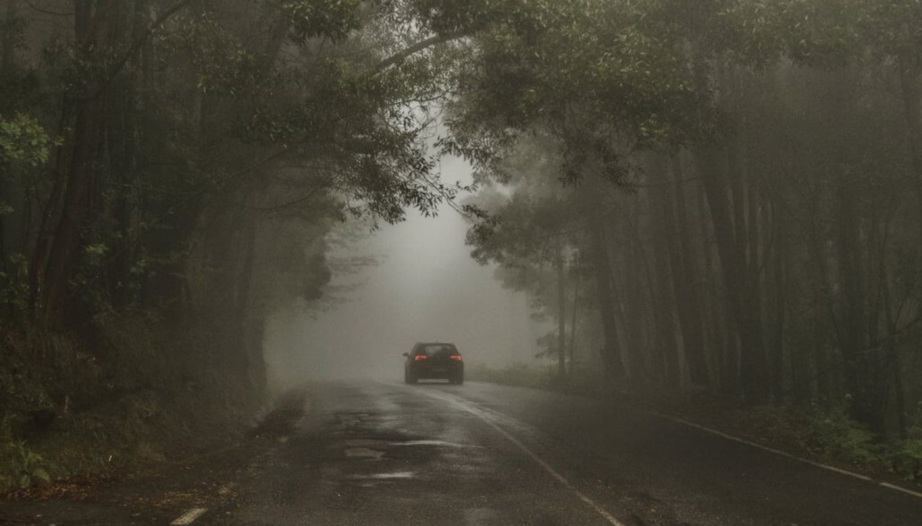 scary-road Car driving down a very foggy road in the woods.