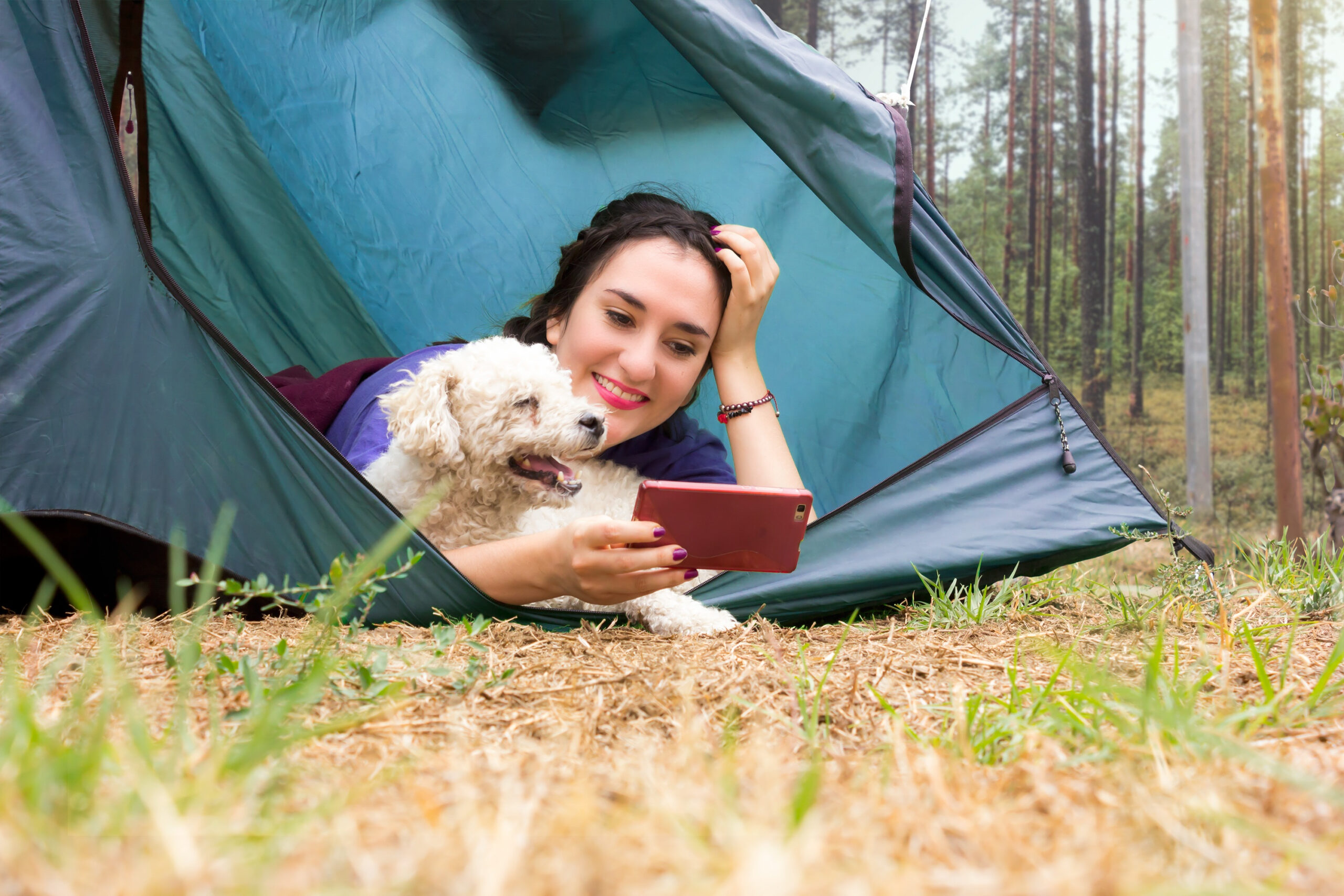 Pet-Friendly Campground – Splashway Pet-Friendly Campground - Splashway