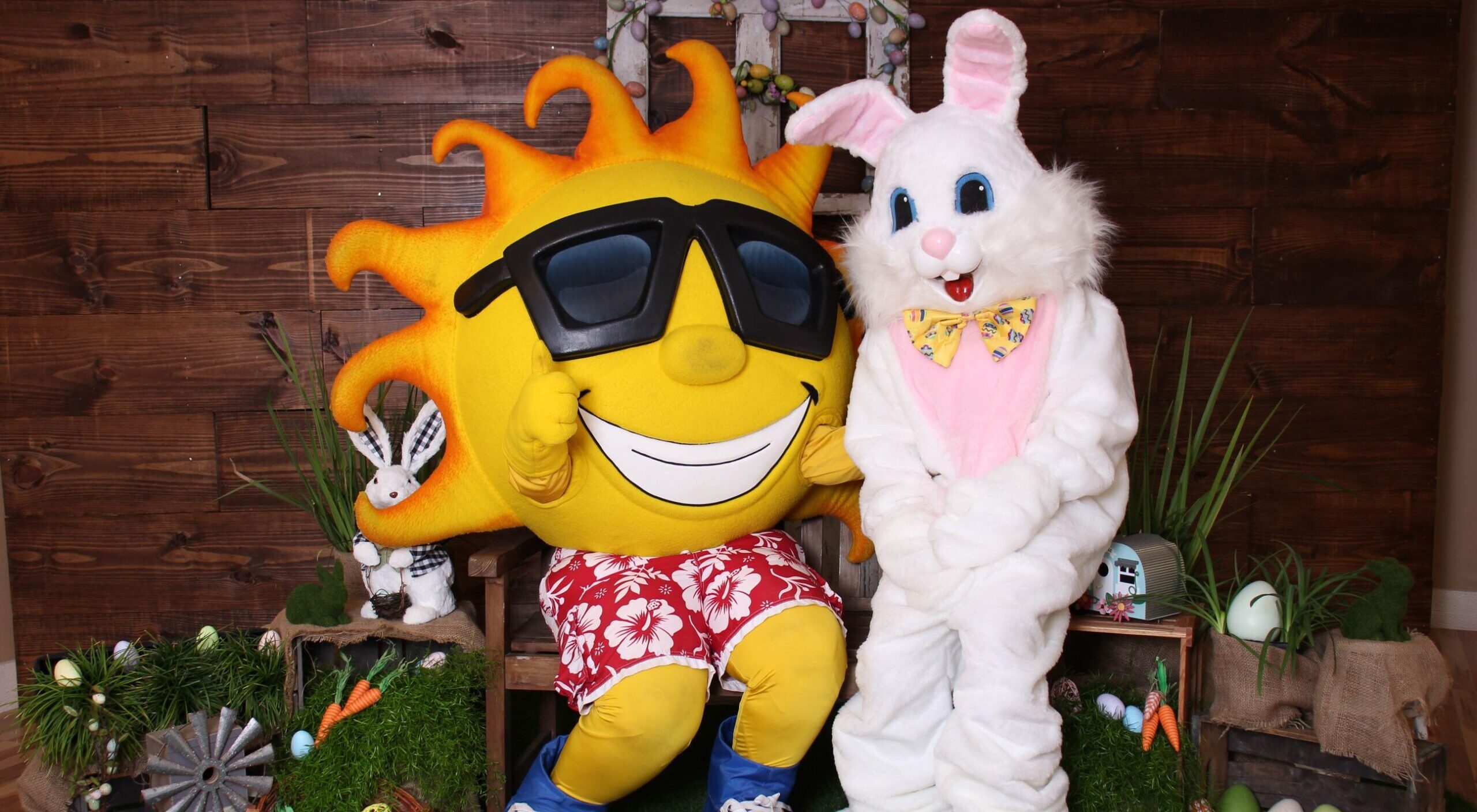 Easter Bunny Person in a sun mascot costume and person in an Easter bunny costume standing together with a decorated wooden background.